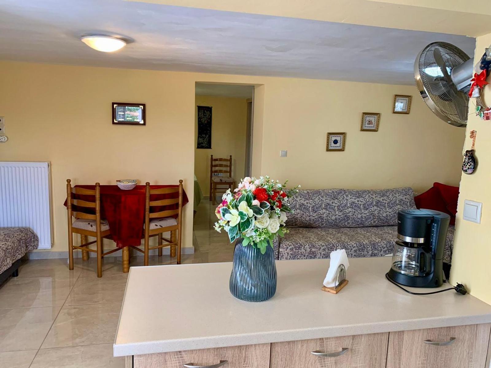 Sofia'S Seaview Villa Near Airport And Beach Artemi Extérieur photo